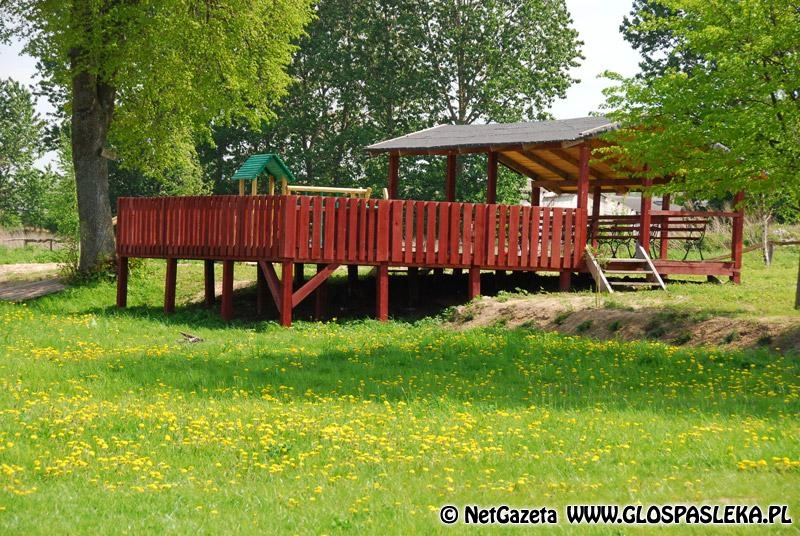 Krzewy i drzewka oraz ławki 