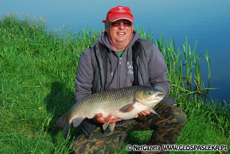 80 cm amur wrócił do wody