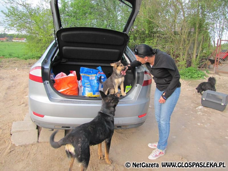 Schronisko dziękuje