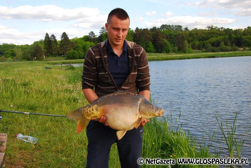 W godzinę trzy karpie