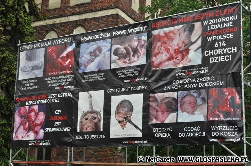 Listy – transparent