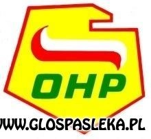 Młodzieżowe Centrum Kariery zaprasza na szkolenia