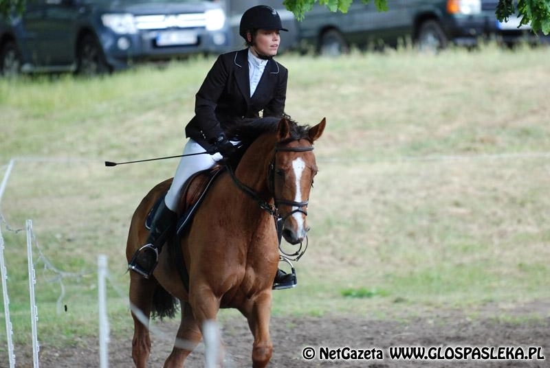 Wczoraj Starogard – za tydzień Sokolnik