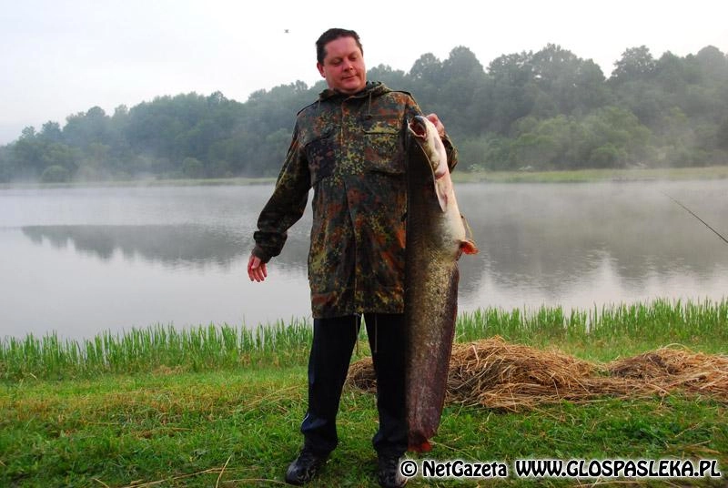 Sum i sandacz o świcie