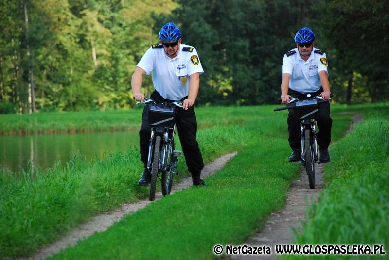 Zlikwidują straż miejską?
