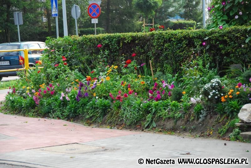 Najładniejsza posesja – konkurs