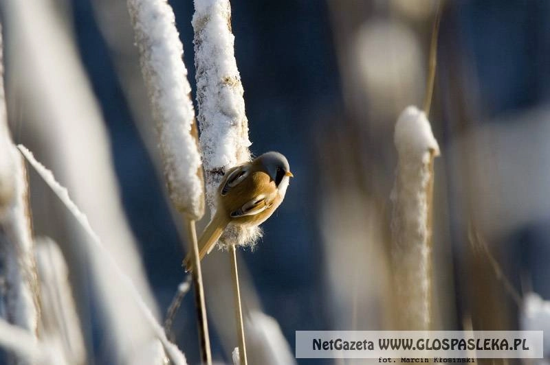 Będzie kolejna wystawa