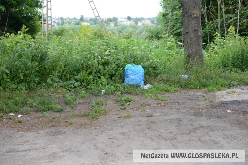 Śmieci koło drogi