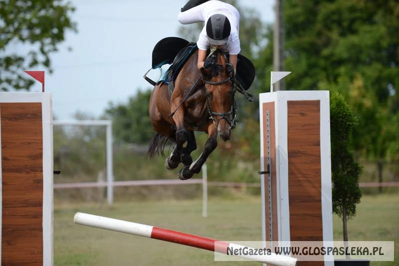 W Lidzbarku bez sukcesów
