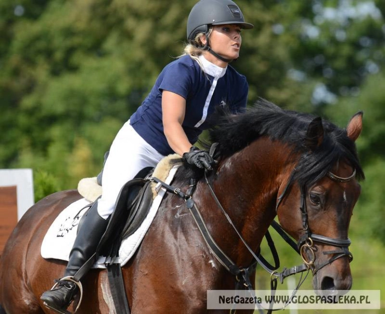 Zawody konne w Sokolniku