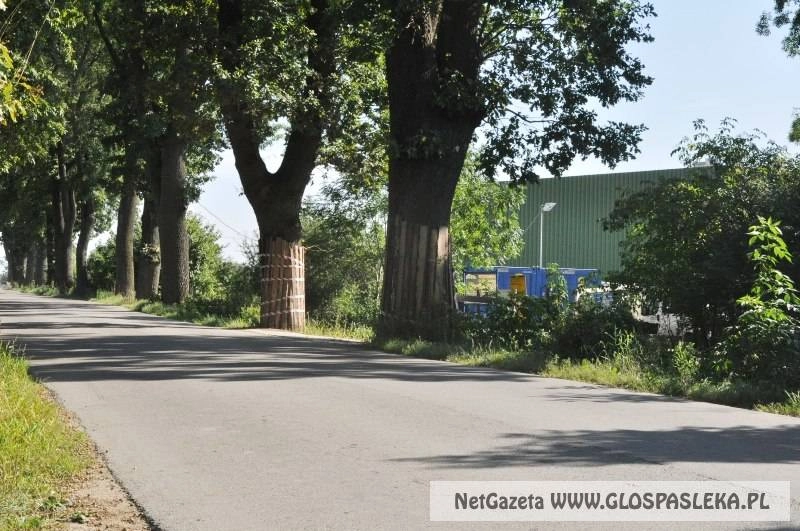 Tuga wykonawcą drogi gminnej