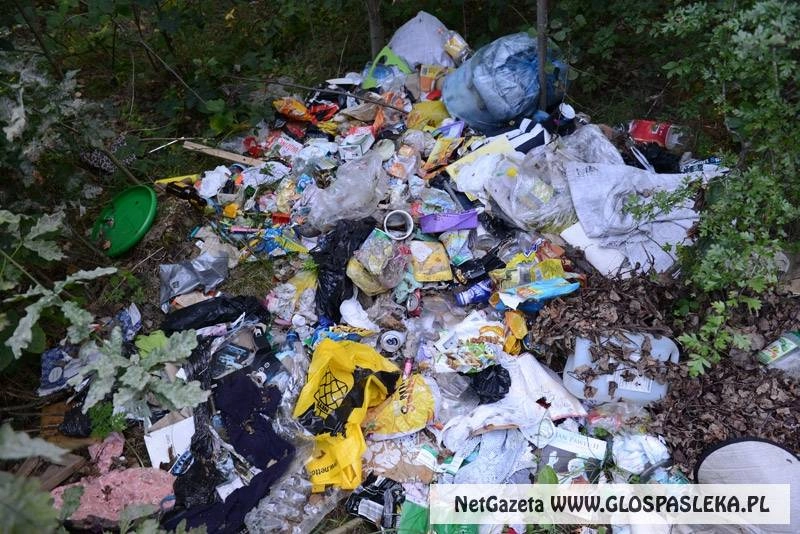 Przyjęła mandat i posprząta