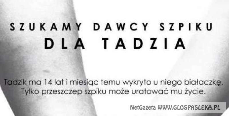 Szukamy dawcy szpiku dla TADZIA, KAMILI i innych