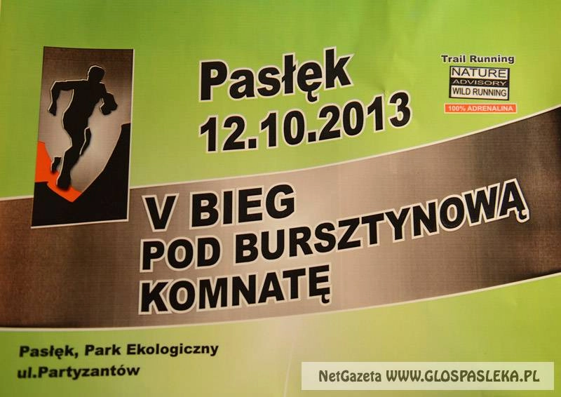 V Bieg Pod Bursztynową Komnatę