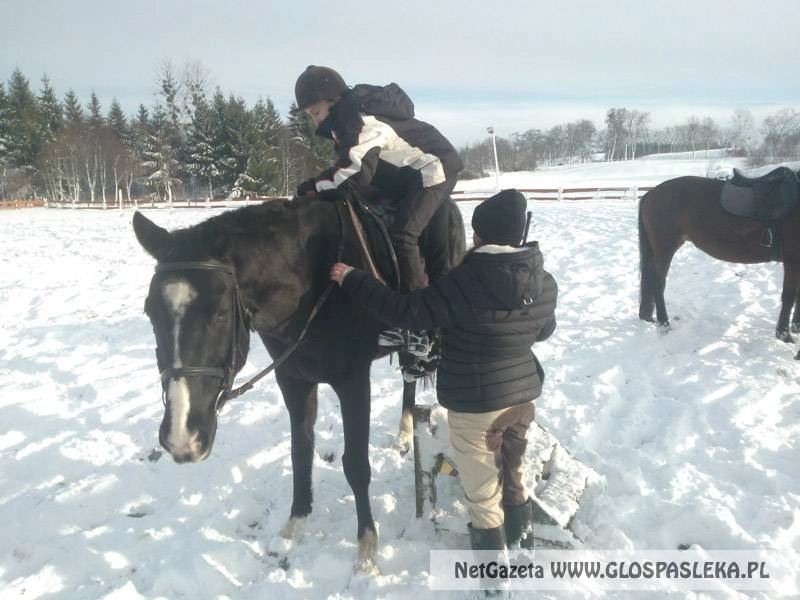 Piękna zima – korzystaj z okazji