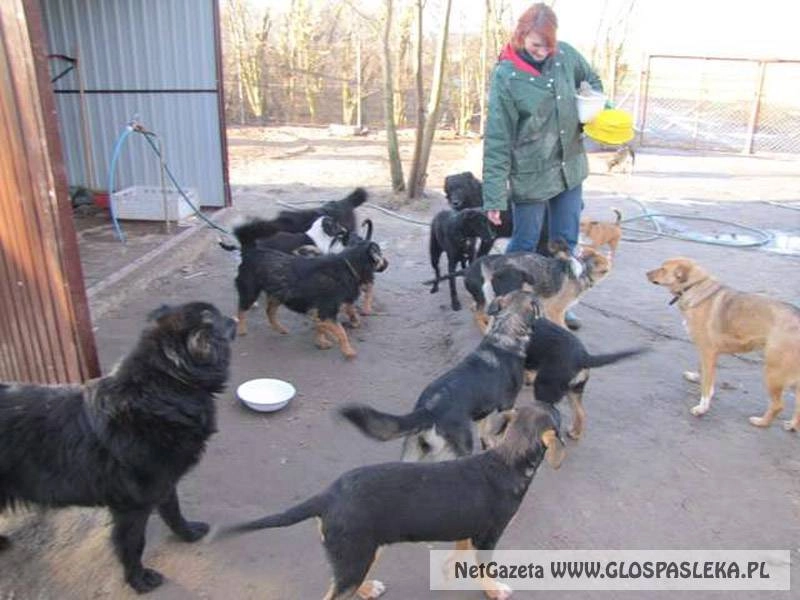 Konkurs dla organizacji pozarządowych