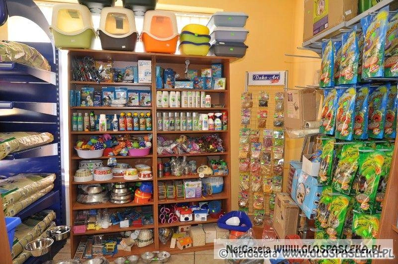 Złota Rybka – sklep zoologiczny zaprasza na zakupy