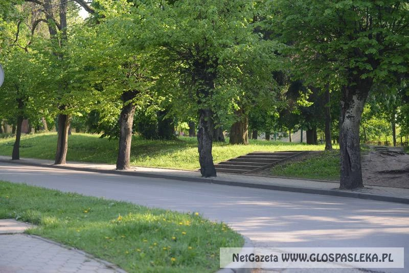 Przetarg na utrzymanie zieleni