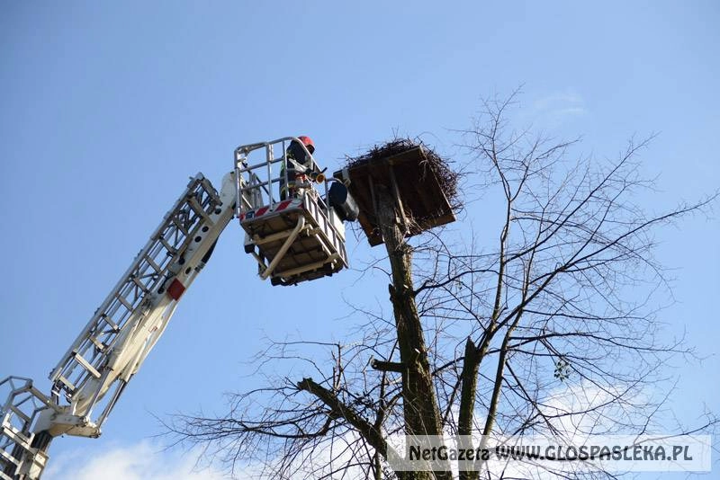 Będzie nowe gniazdo