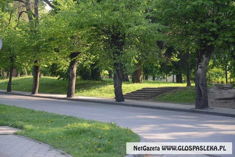 Pielęgnacja zieleni