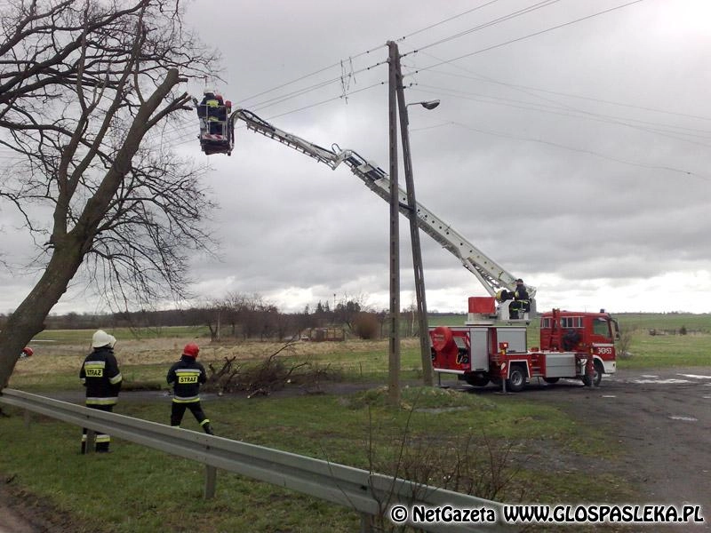 Minął weekend – płoną trawy 