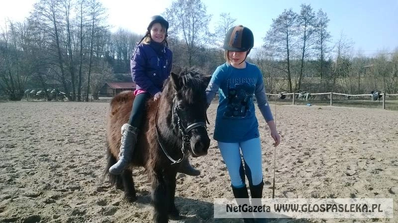 Dziękujemy za pomoc