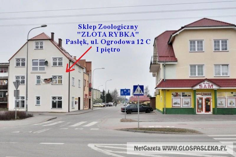 PROMOCJE w sklepach zoologicznych Złota Rybka