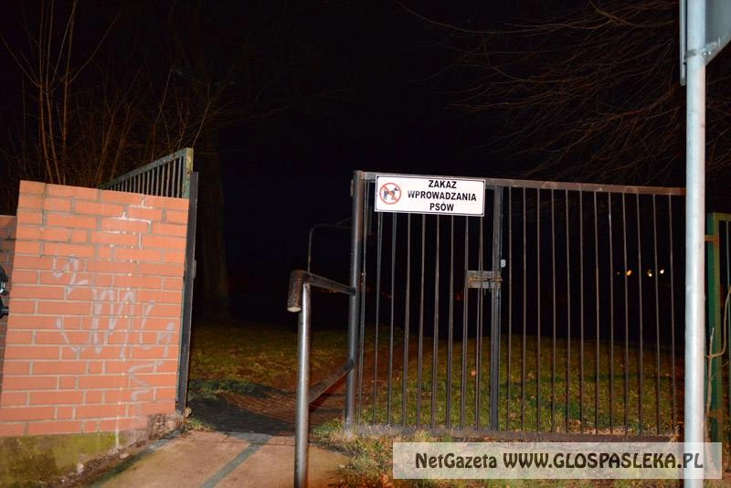 Psi problem na Piłsudskiego