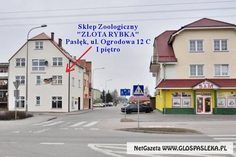 PROMOCJE w sklepach zoologicznych Złota Rybka