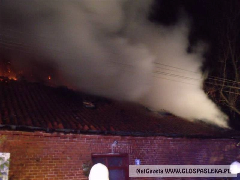 Pożar w miejscowości Stegny