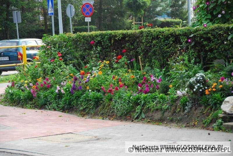 Prewencyjnie – uważajmy na kradzieże działkowe 