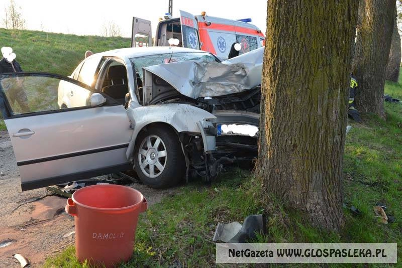 Vw passat na drzewie