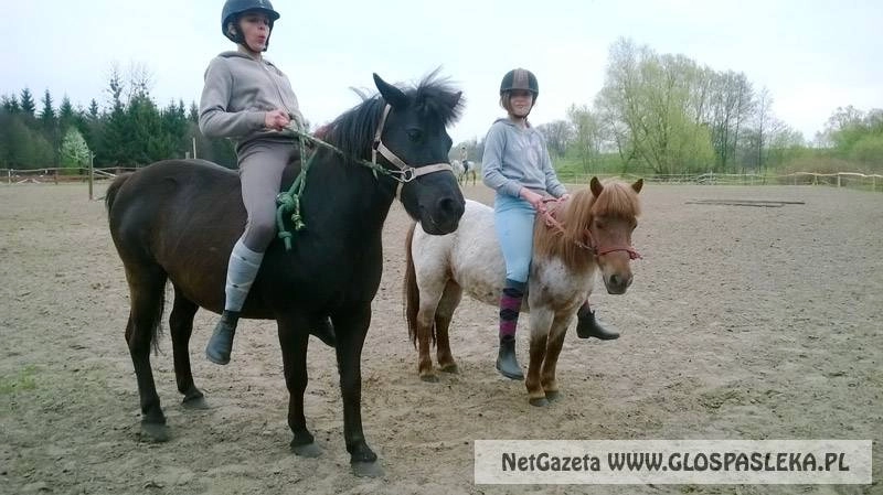 Konie w lany poniedziałek