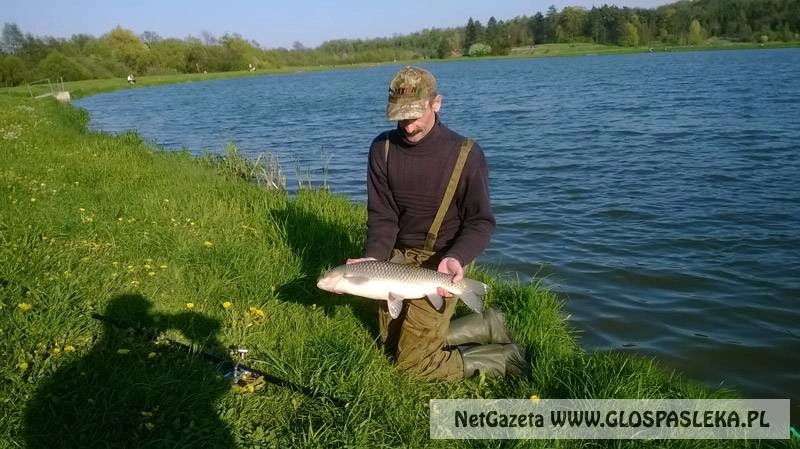 Amur wrócił do wody