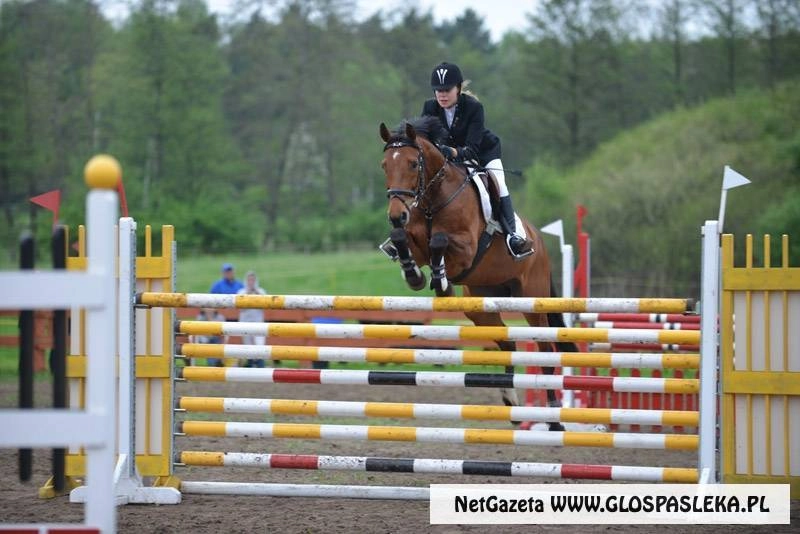 Zawody konne 2014- film