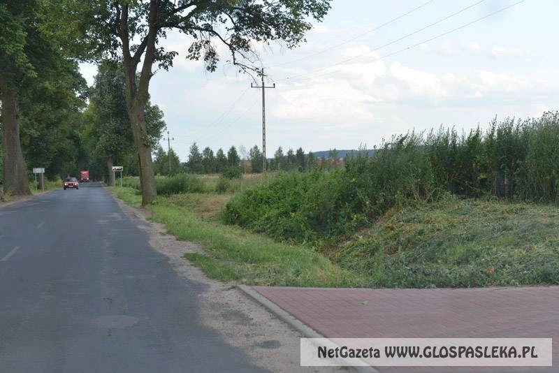 Chodnik w kierunku miejscowości Rzędy