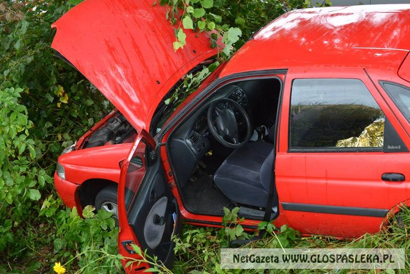 Ford wylądował w rowie
