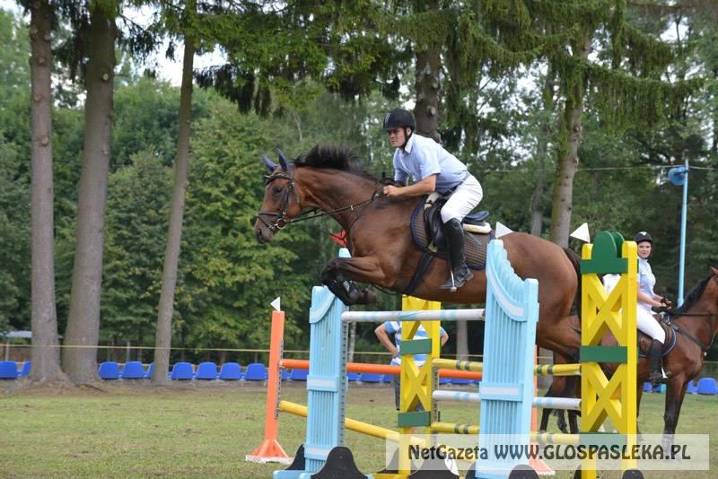 155 cm Blaszki i Marka Wirtha