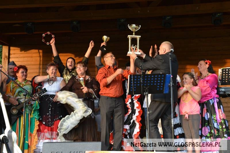 Doskonała zabawa na V Festynie Sołectw