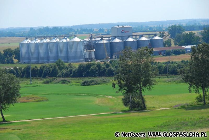 Kurników nie będzie