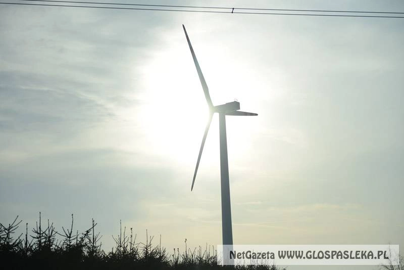 O wiatrakach w Krasinie i Stegnach