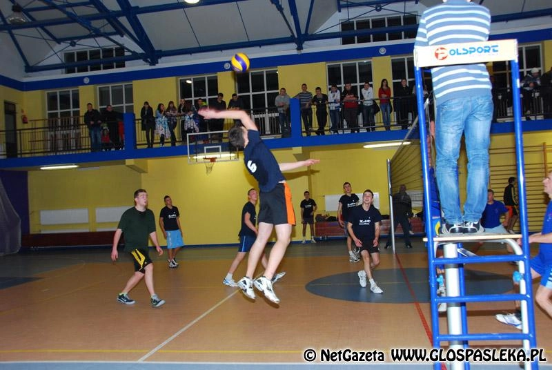 Liga siatkówki i koszykówki