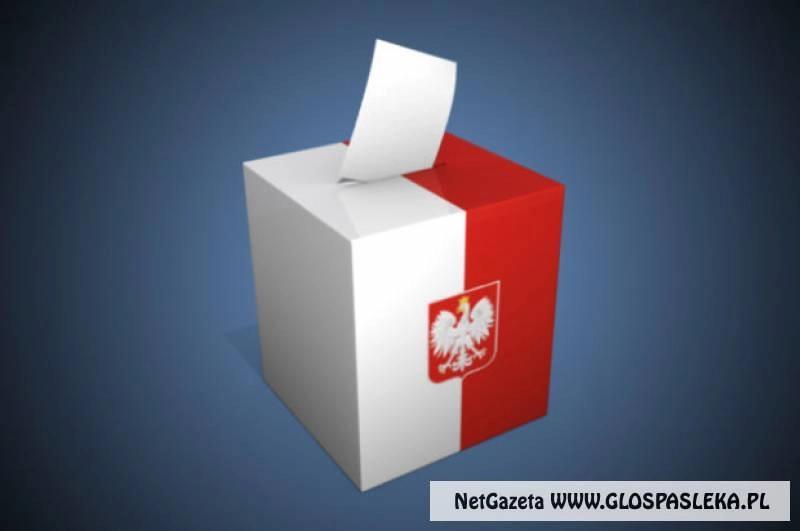 Wybieramy radnych powiatowych