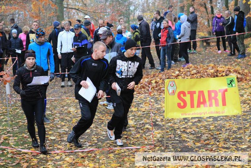 VI Grand Prix Elbląga w biegu na orientację