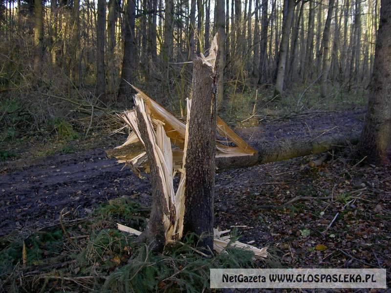 Wichura wyrządziła sporo szkód