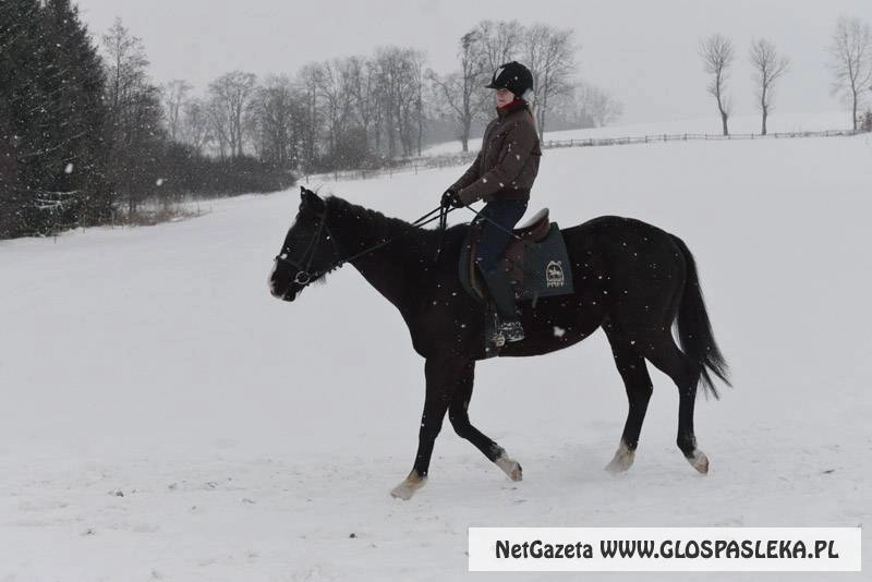 Zaproszenie na jazdy konne