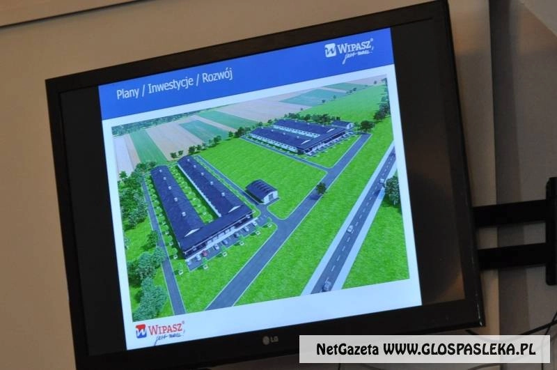 Wipasz czeka na plan