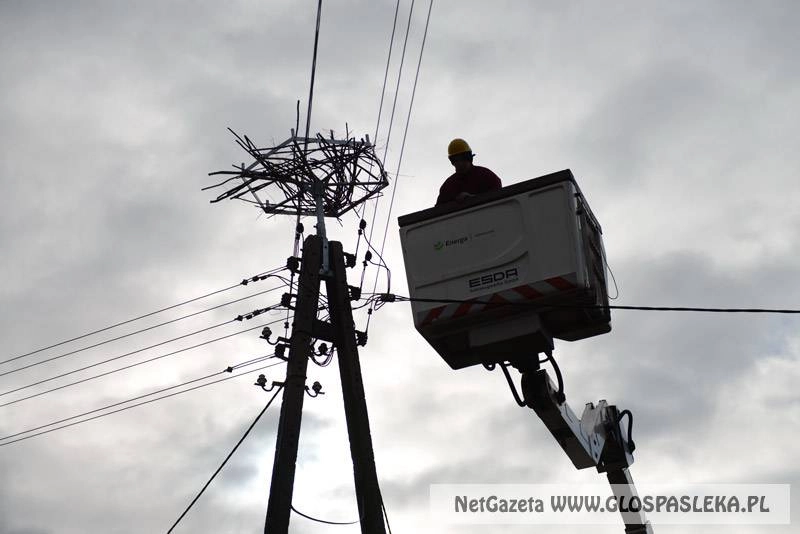 Platforma czeka na bociany