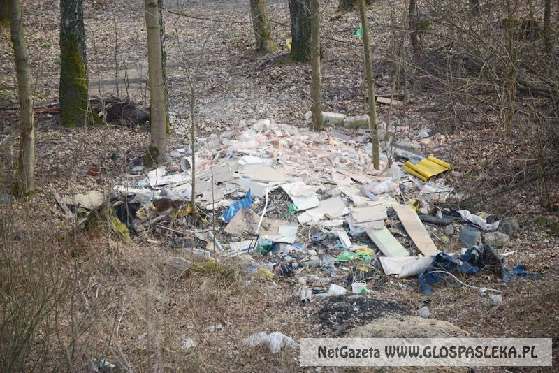 Czyj to gruz? – straż miejska wyjaśni