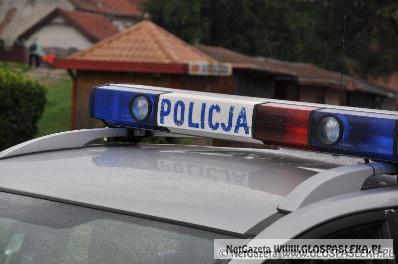 Marzec w policyjnych statystykach